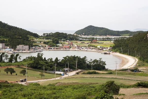 임자003 6