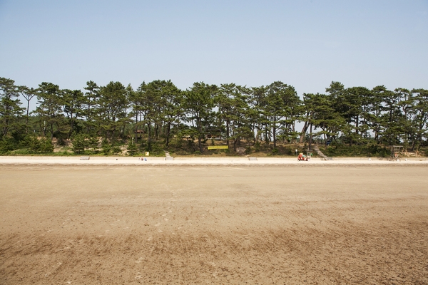 분계해변 3