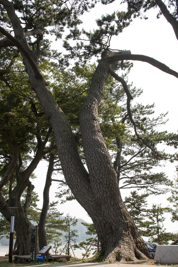 분계해변 4