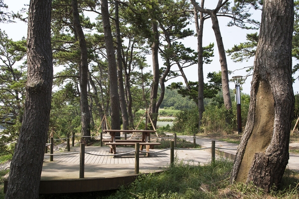 분계해변 5