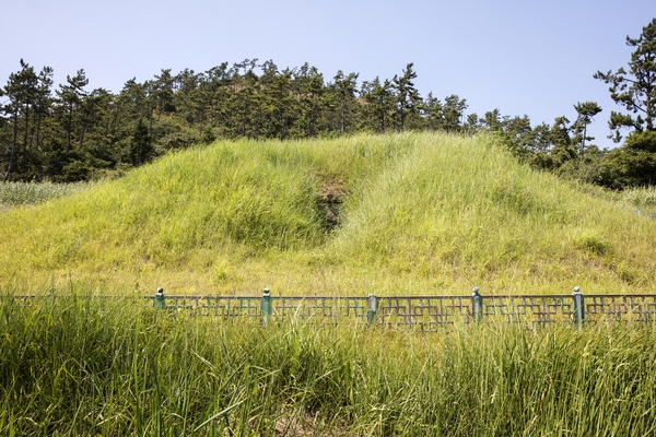 장산도 도창리 3