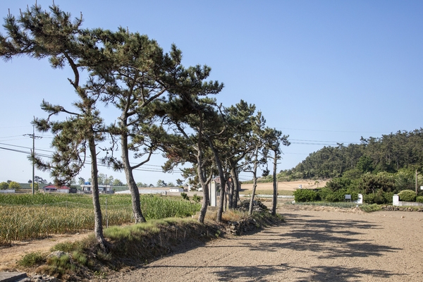 장산 마진도 전경002 2