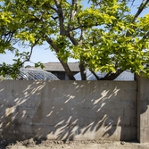 장산 마진도 전경002