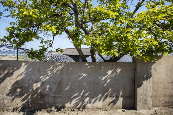 장산 마진도 전경002 1