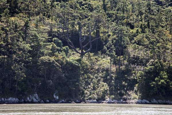 장산 막금도 섬막금도 당제 2