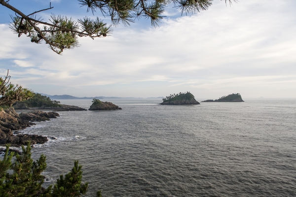 신안해저발굴비인근 5