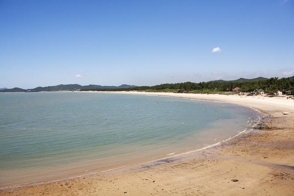 증도_우전해변 5