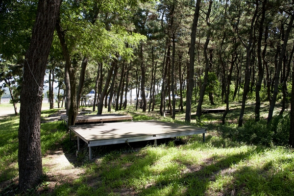 우전해변캠핑장침몽골텐트촌 2