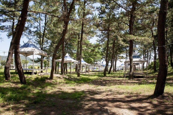 우전해변캠핑장침몽골텐트촌 1