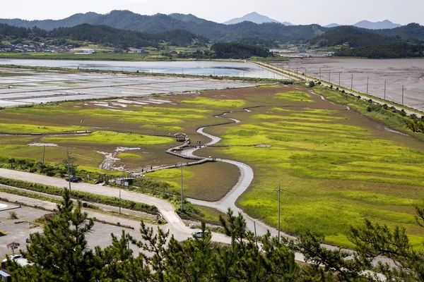 태평염전힐링캠프장및염태식물원 4
