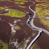 태평염전힐링캠프장및염태식물원