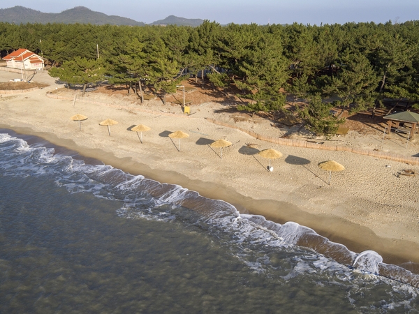 증도 엘도라도우전해변 비치파라솔 1