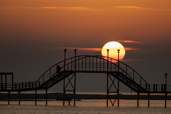 증도 짱뚱어다리일몰 4