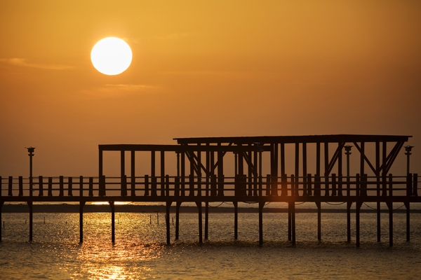 증도 짱뚱어다리일몰 001 3