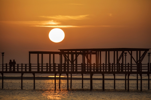 증도 짱뚱어다리일몰 001 5