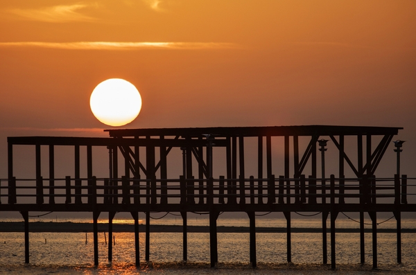 증도 짱뚱어다리일몰 001 6