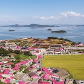 증도면 병풍도 맨드라미 003