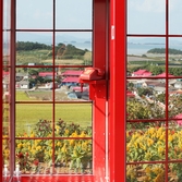 증도면 병풍도 맨드라미 004