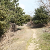 지도읍  삼암산등산로