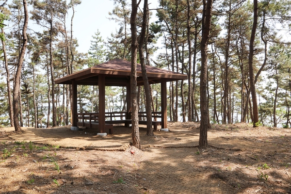 지도읍 거북섬 4