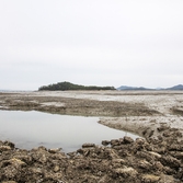 매도일금도노두길