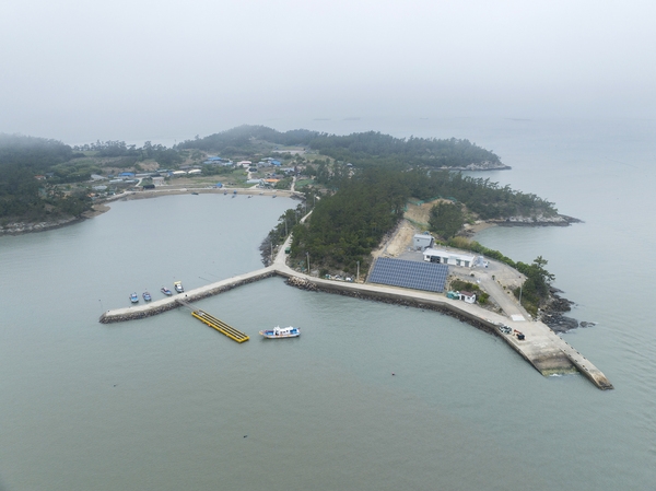 신의면 평사도 2