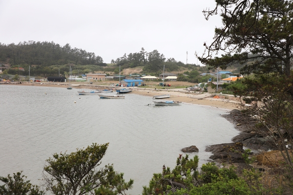 신의면 평사도 4