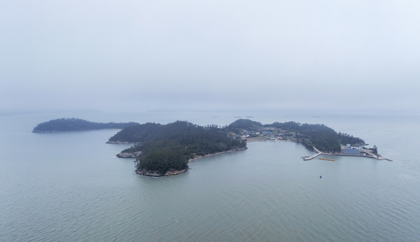 신의면 평사도 1