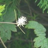 사위질방