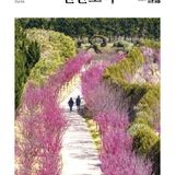 2025 신안소식지 봄호