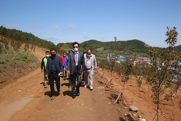 2022.04.29 임자면 이흑암리 홍매화 식재현장방문 1