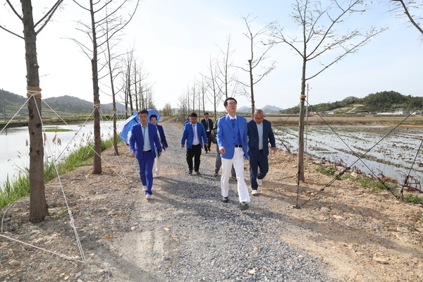 2024.04.19  도초면  낙우송길 조경식재 조성현장 점검 3