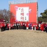 2025.03.06_ 홍매화 축제 개막식