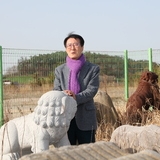 2025.03.26_ 해태상이송 현장점검