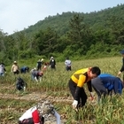 신안군! 봄철 농촌 일손돕기 앞장 구슬땀..'일손돕기 알선창구 운영, 유관기관 및...