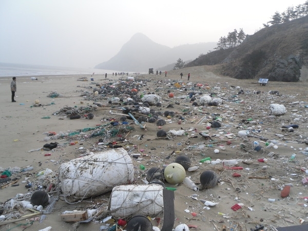 신안군, 해양쓰레기 제로화로 해양환경보전 기대1