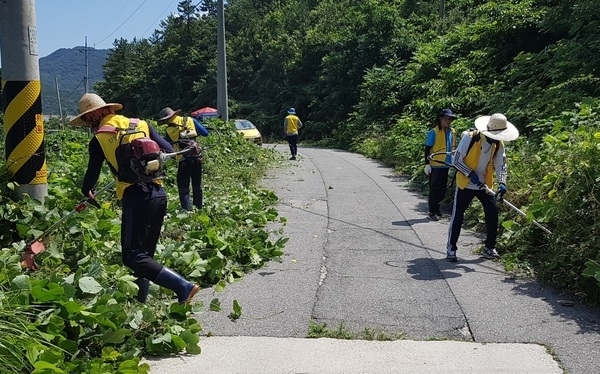 신안군4-H연합회, 이웃사랑 예초작업 봉사활동..