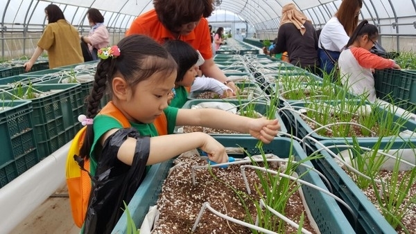 신안군, 농업기술센터 초·중·고생 농촌체험장으로 탈바꿈..