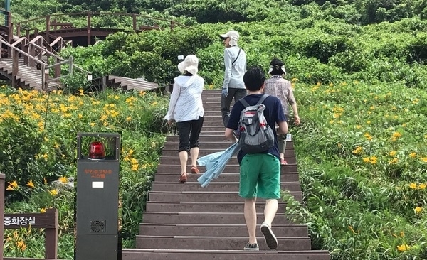 한국인이 꼭 가봐야 할 국내관광지 1위 “홍도”..「최첨단 스마트 마을로」거듭나다!1