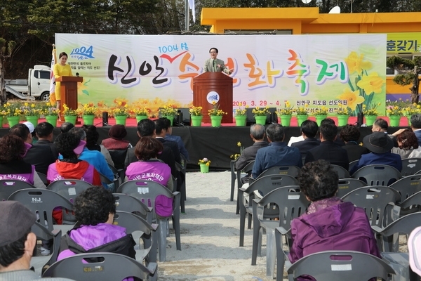 신안1004섬수선화축제 개막..