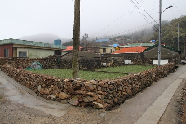 신안군 돌담 보존 및 정비 사업 착수1