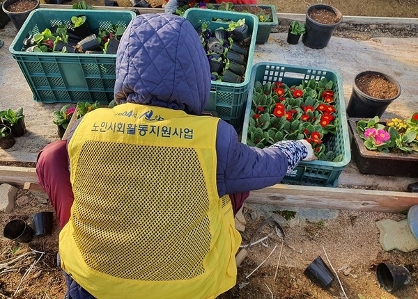 신안군, 섬 마을에 할머니들 손 끝 타고 전해진 봄 소식..