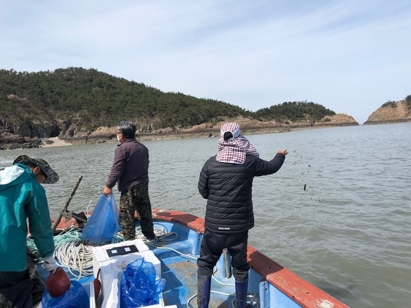 신안군! 지역특성 맞춤형 수산자원조성 박차1