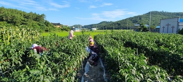 삼복 무더위 사랑과 봉사로 극복..