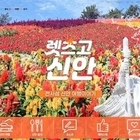 신안여행 SNS ‘렛츠고신안’ 인기 급상승..'신안군, ‘1004몰’과 연계 특산...