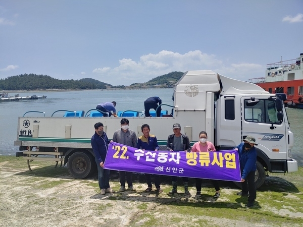 신안군! 청정해역에 감성돔 방류로 낚시천국 기반 조성 1