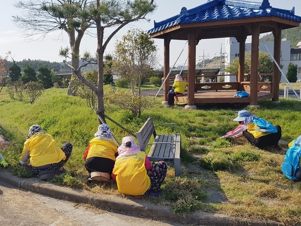 신안군, 노인 일자리 사업 2월 13일부터 본격 추진..