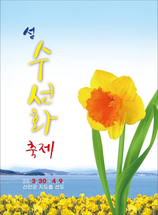 봄의 섬 선도! “섬 수선화 축제” 3월 30일 개막..'노란 봄의 향연, 수선화 향기 따라 힐링여행 오세요'1