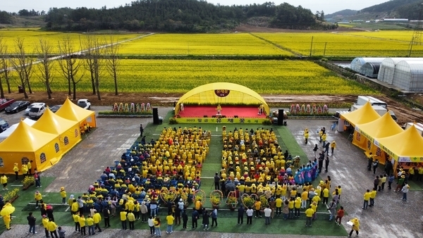 신안군 팔금 섬 유채꽃 축제 성황리 마무리, 3만 3천여 명 다녀가..'팔금면을 황금사철 및 은행나무 식재, 황금빛으로 물들어'1