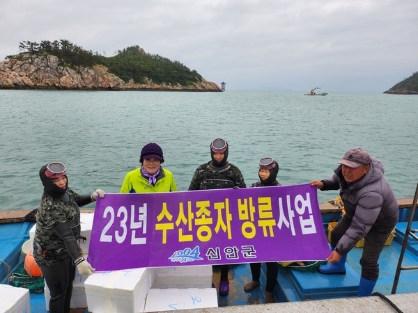 신안군, 청정해역에 어린 해삼 85만 마리 방류..'풍요로운 어장 조성, 청년이 돌아오는 어촌 실현'1